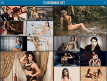 Tablet Screenshot of camchoice.net